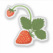 Sticker Strawberries (Devant)