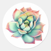 Sticker Succulent (Devant)