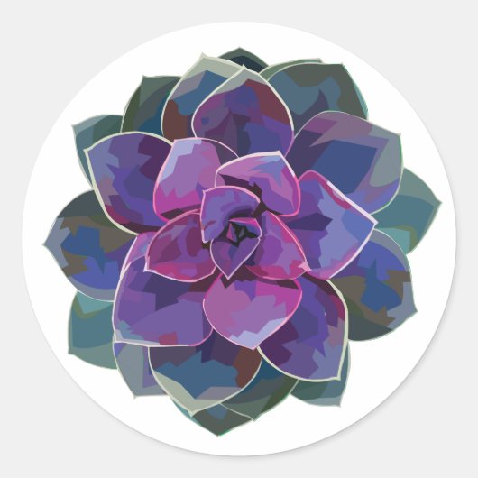 Sticker succulent (Devant)