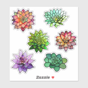 Sticker Succulents en verre tendu