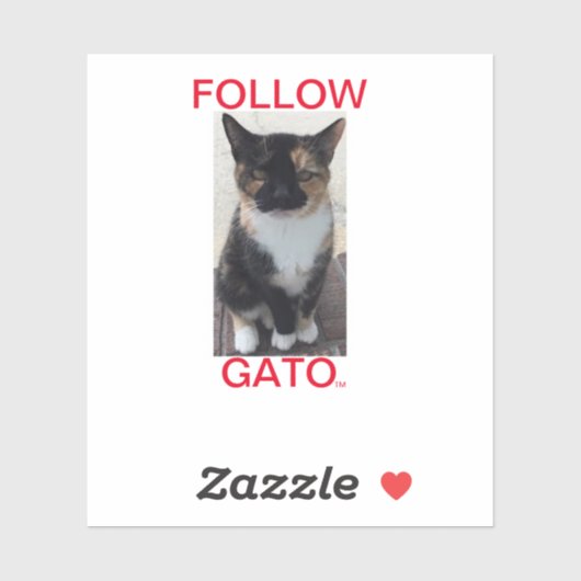 Sticker SUIVEZ GATO2, Tous les Casquettes (Feuille)