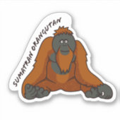 Sticker "Sumatran Orangutan" (Devant)