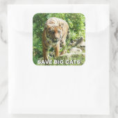 Sticker Sumatran Tiger (Sac)