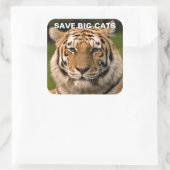 Sticker Sumatran Tiger Portrait (Sac)
