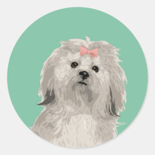 Sticker Sweet Lhasa Apso pour Amoureux de les chie