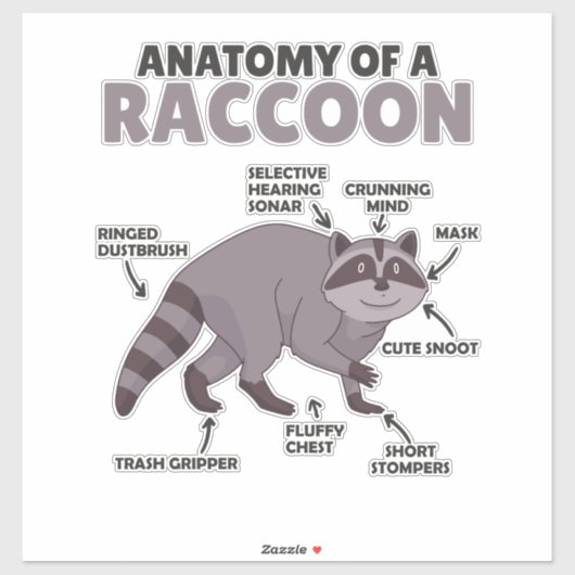 Sticker Sweet Raccoon Explication Anatomie D'Un Raccoon (Feuille)