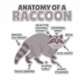 Sticker Sweet Raccoon Explication Anatomie D'Un Raccoon (Devant)