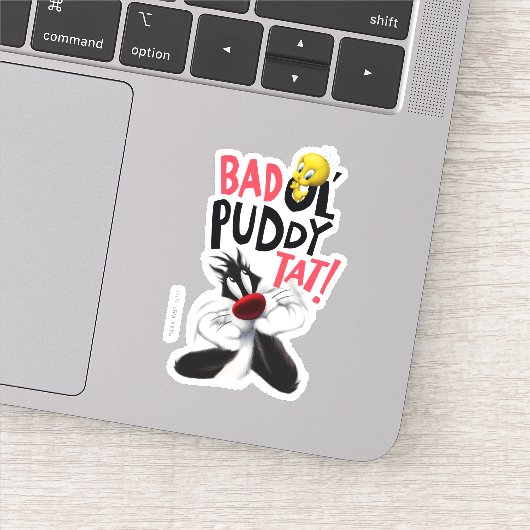 Sticker SYLVESTER™ & TWEETY™ - Mauvais Tat Puddy Ol' (Détail)