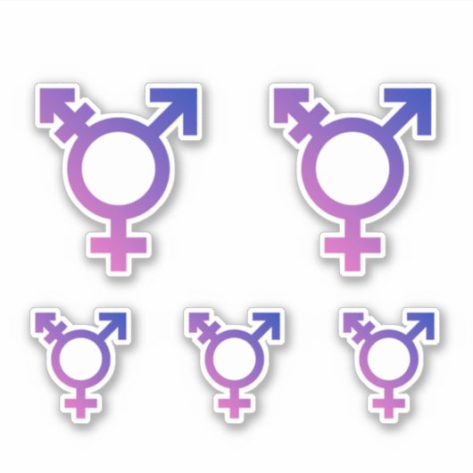 Sticker Symbole de fierté trans (Devant)