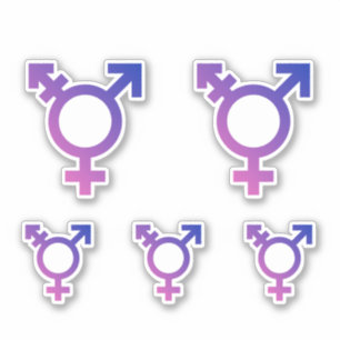 Sticker Symbole de la fierté trans