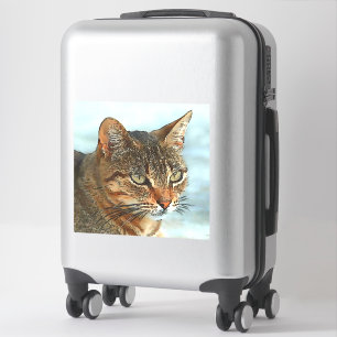 Sticker Tabby Cat RB Style Dessin Artistique