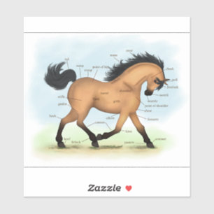 Sticker Tableau d'anatomie du cheval de Trot