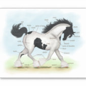 Sticker Tableau d'anatomie du cheval tzigane noir et blanc (Devant)