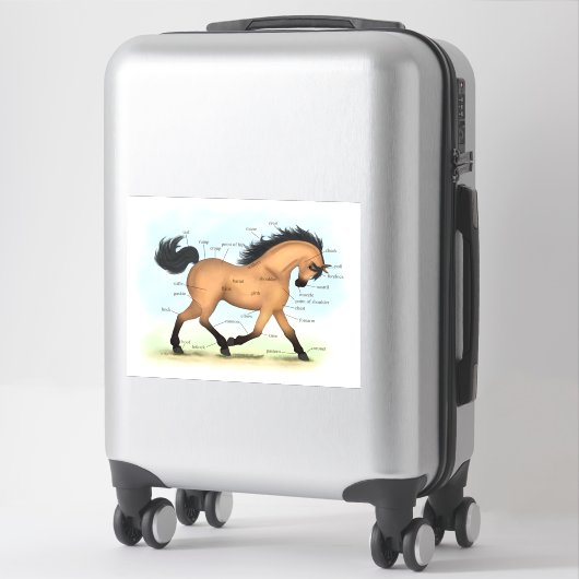 Sticker Tableau d'anatomie équine éducative du Cheval en p (Sur valise)