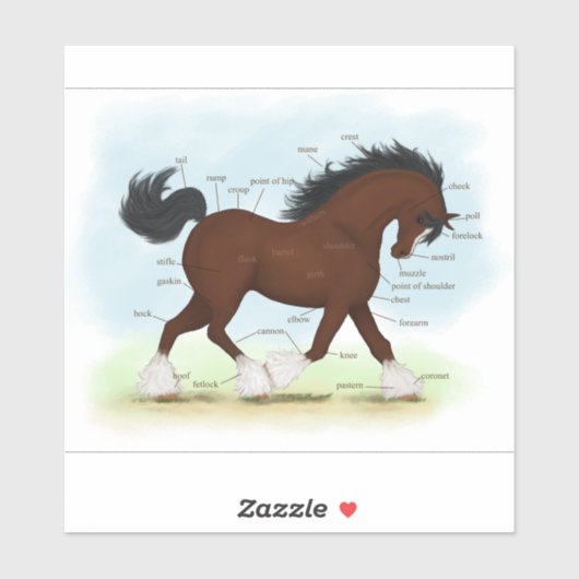 Sticker Tableau Éducatif de l'Anatomie du Cheval Clydesdal (Feuille)