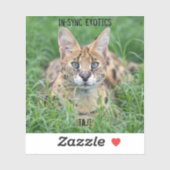 Sticker Taji - (Feuille)