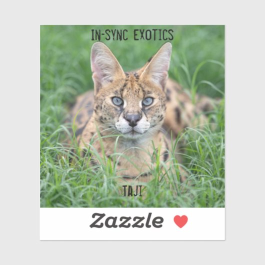 Sticker Taji - (Feuille)