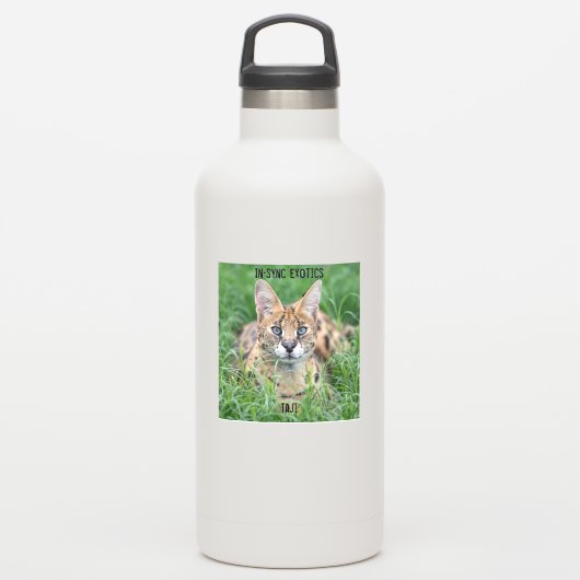 Sticker Taji - (Gourde)