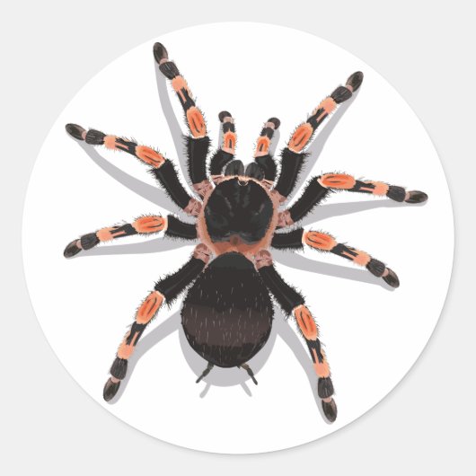Sticker Tarantula (Devant)