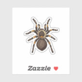 Sticker Tarantula (Feuille)
