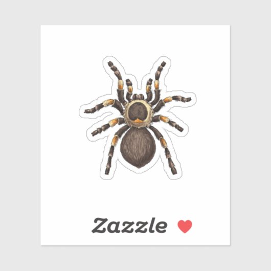 Sticker Tarantula (Feuille)