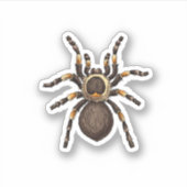 Sticker Tarantula (Devant)