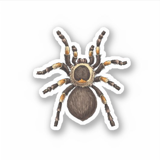 Sticker Tarantula (Devant)