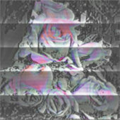 Sticker Techno Bouquet (Devant)