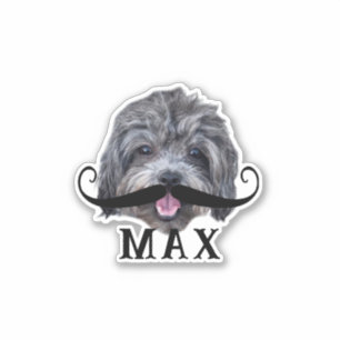 Sticker Téléchargez votre animal de compagnie Visage Photo