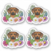 Sticker Tête De Chien Rhodésien Ridgeback Et Fleurs Coloré (Devant)