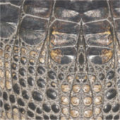 Sticker Texture de la peau de l'alligator Brown américaine (Devant)