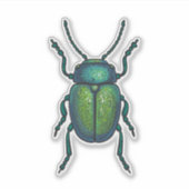 Sticker The tansy beetle (Devant)