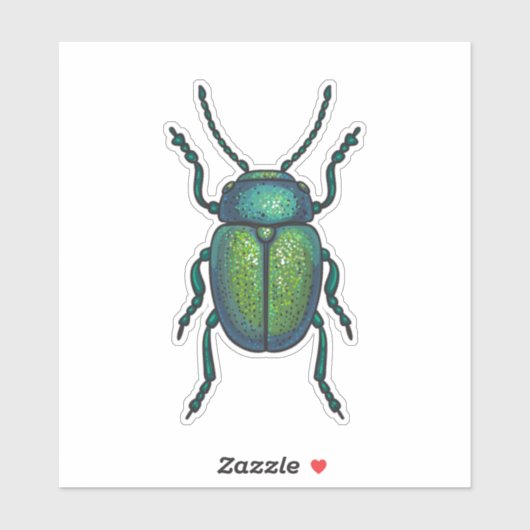 Sticker The tansy beetle (Feuille)