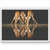 Sticker Three Impala Drink Together at Night (Devant)