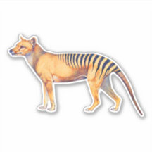 Thylacine (Tigre de Tasmanie)