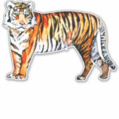 Sticker Tiger (Devant)
