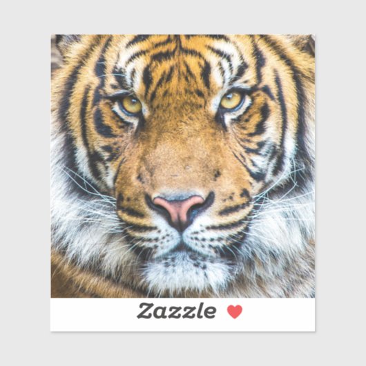 Sticker Tiger visage gros (Feuille)