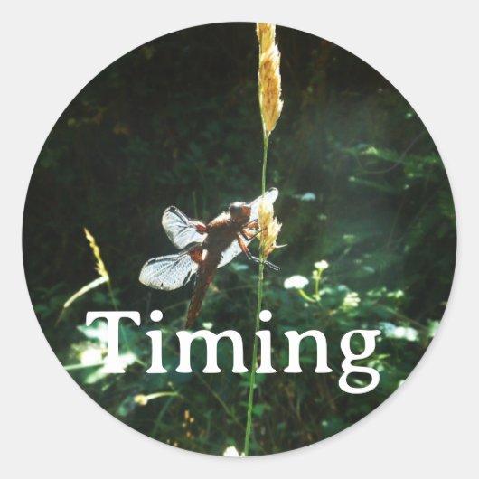 Sticker Timing (Voorkant)