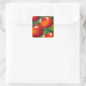 Sticker tomates (Sac)
