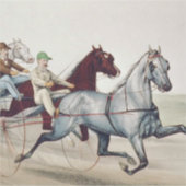 Sticker TOP Harness Racing (Devant)