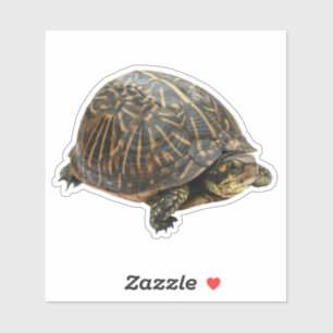 Sticker Tortue
