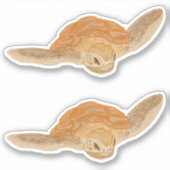 Sticker Tortue de mer dans l'eau - transparente. (Devant)