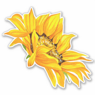 Sticker tournesol