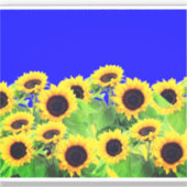 Sticker Tournesol Couleurs drapeau ukrainien - Lib (Recto)