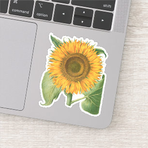 Sticker Tournesol vintage par Basilius Besler