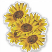 Sticker Tournesols  (Devant)