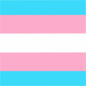Sticker  Transgender Flag | LGBTQIA+  (Recto)