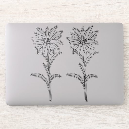 Sticker Transparant Edelweiss (Ordinateur)