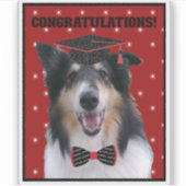 Sticker Tri Rough Collie Félicitations Diplômé (Devant)