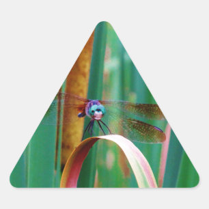 Sticker Triangulaire A teal Eyed Dragonfly with cattails